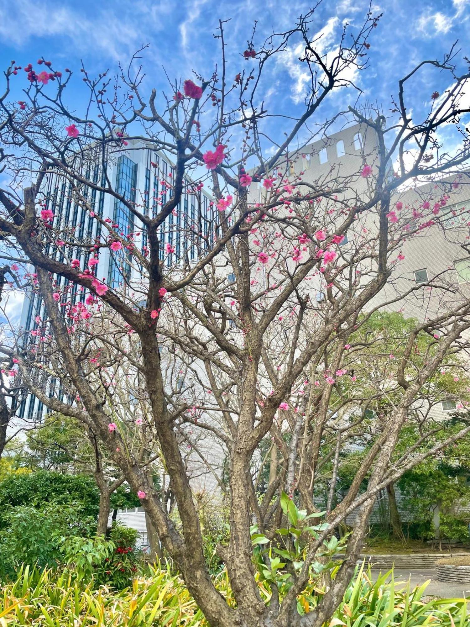 都市センターホテル ホテル 東京都
